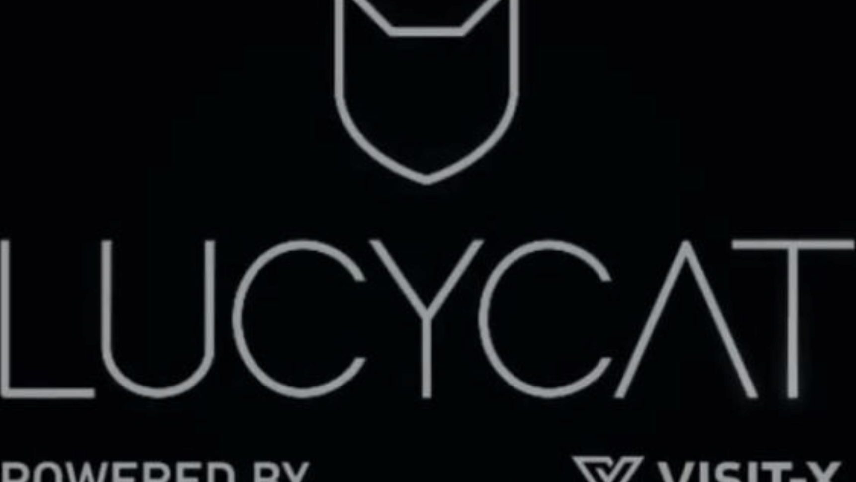 interaktiva wichs utmaning - Lucy Cat